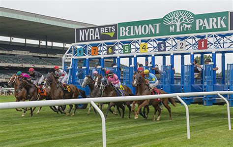 belmont stakes bet online
